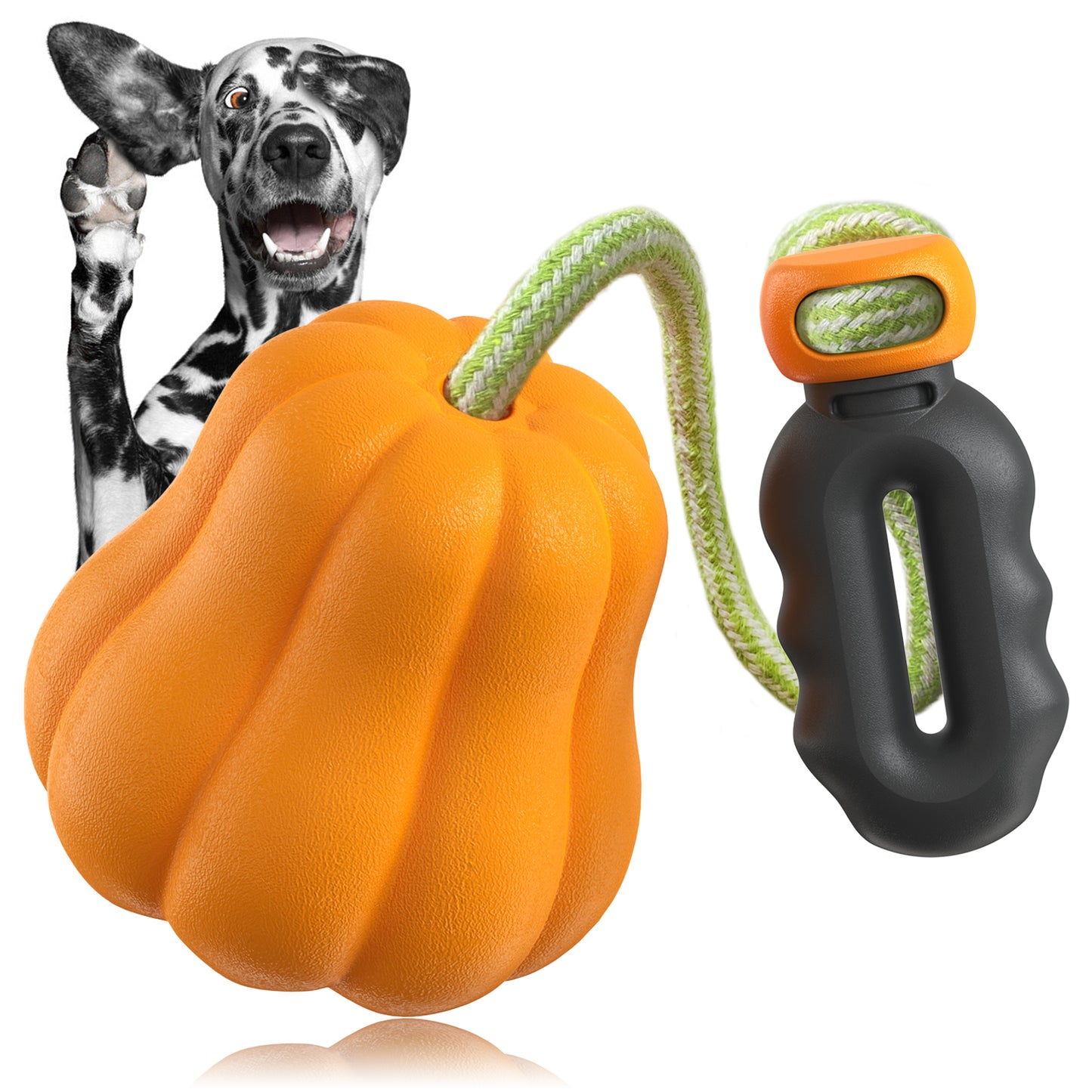 Outdoor Fetch Pumpkin Pet Toy