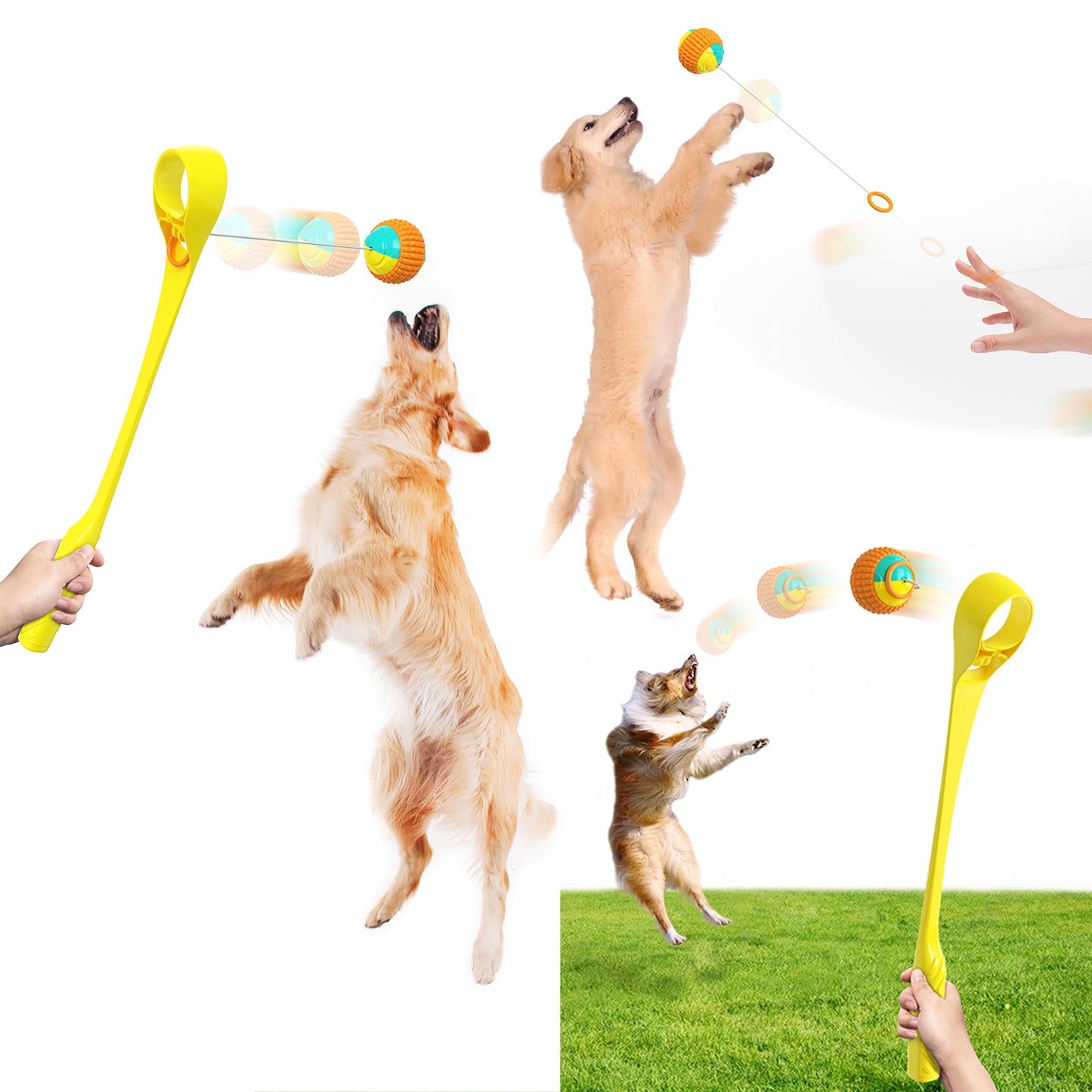 Squeaky Pole With Chew Ball