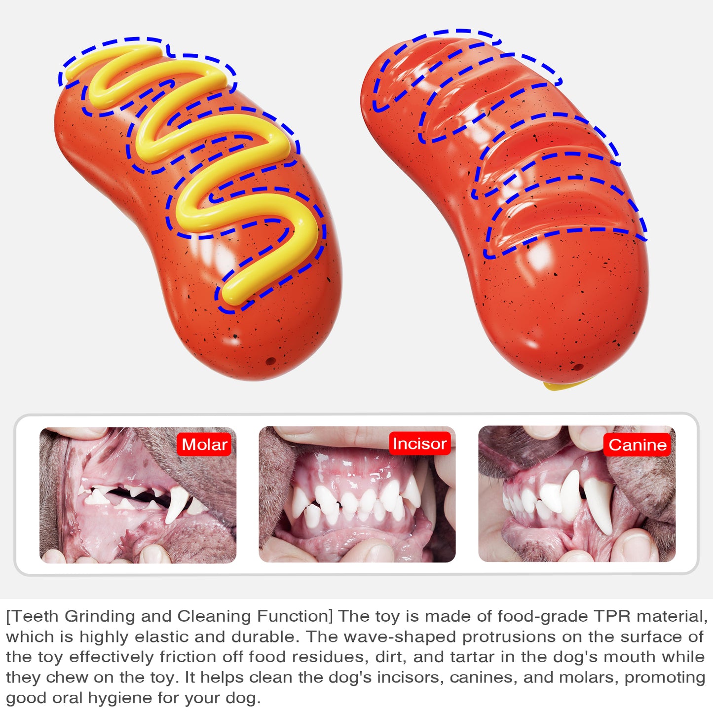 Squeaky Sausage Dog Toy